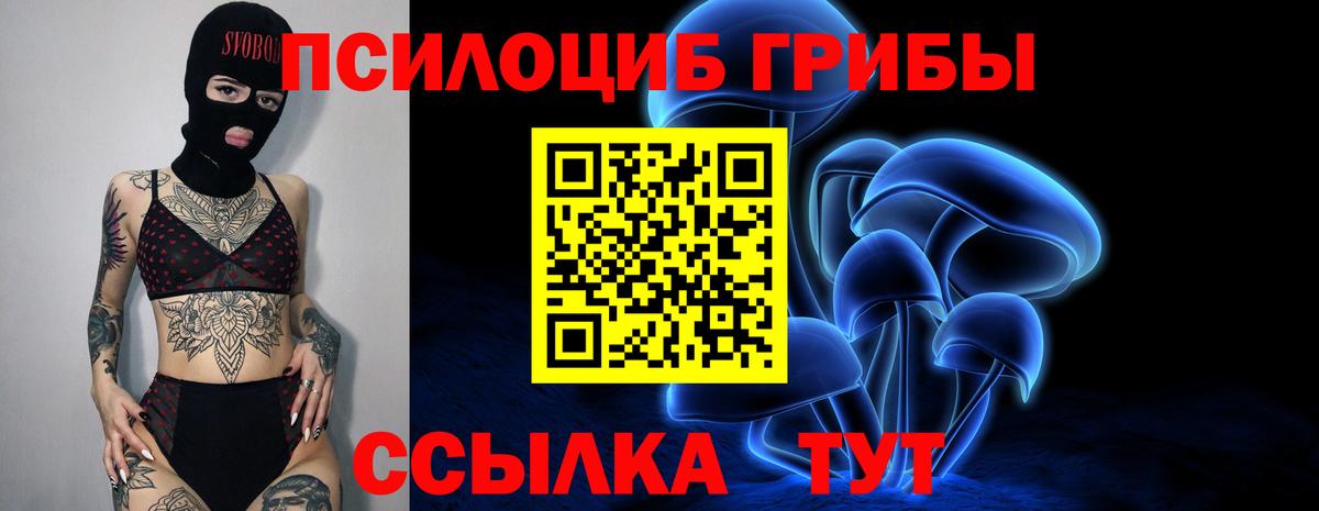 Галлюциногенные грибы Psilocybe Кулебаки